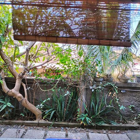 Dharma Yoga Homestay Dan Hostel Amed Exterior foto